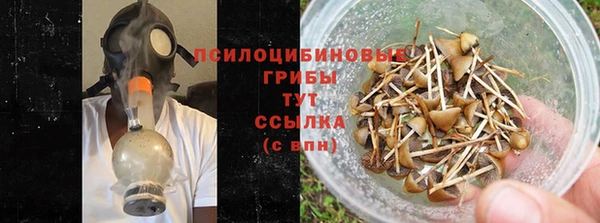 соль ск Мегион