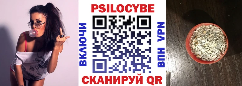 наркотики  OMG ТОР  Псилоцибиновые грибы Psilocybe  Всеволожск 