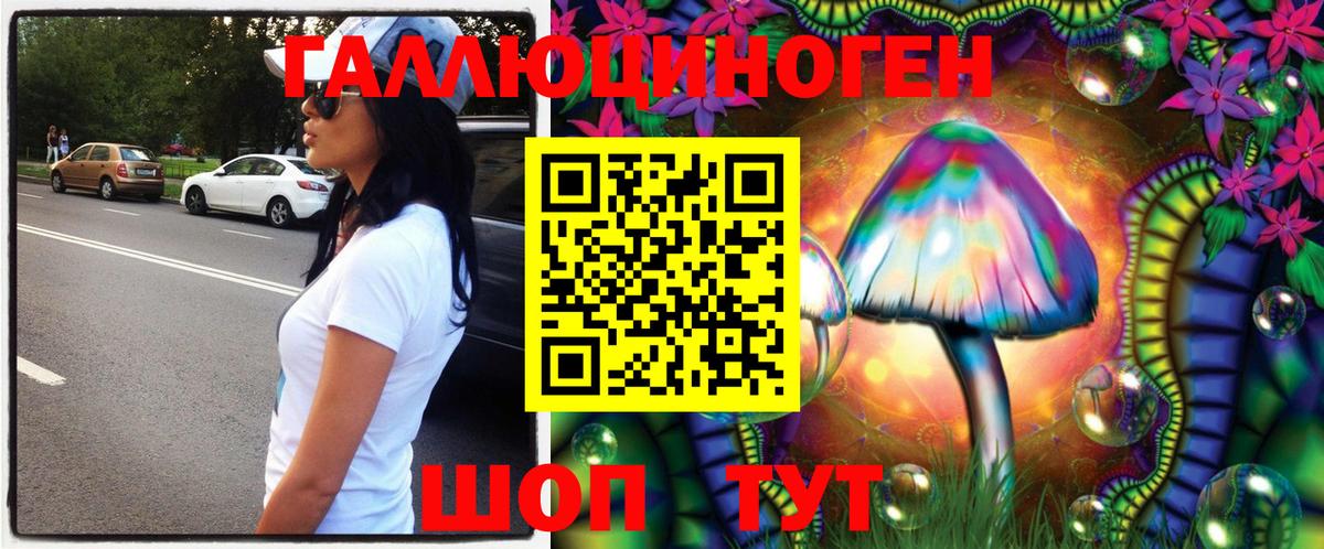 Псилоцибиновые грибы GOLDEN TEACHER Всеволожск