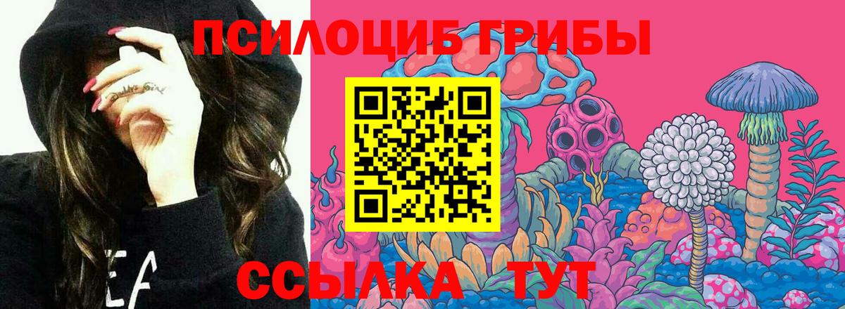 Галлюциногенные грибы Psilocybe  Псилоцибиновые грибы Cubensis  Всеволожск  Вход с VPN 