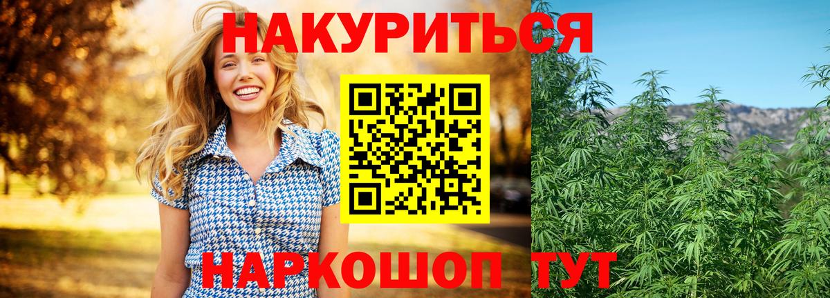 Бошки марихуана сатива  Всеволожск  Шишки марихуана индика 